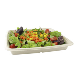 Suikerriet Container 1000ml 23x23x3cm (75 stuks) 