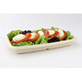 Suikerriet Container 600ml 23x16,5x3cm (300 stuks)