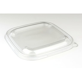 Plastic PET Deksel transparant voor Kom 17x17cm (50 stuks) 