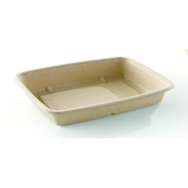 Suikerriet Container 600ml 23x16,5x3cm (75 stuks) 