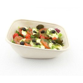 Suikerriet Container "Vision" 750ml 19x19x7cm (300 stuks)