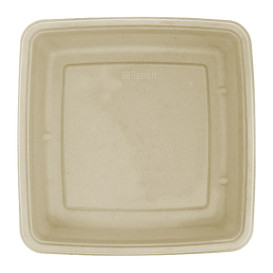 Suikerriet Container 1000ml 23x23x3cm (75 stuks) 