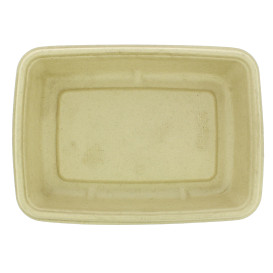 Suikerriet Container 600ml 23x16,5x3cm (300 stuks)