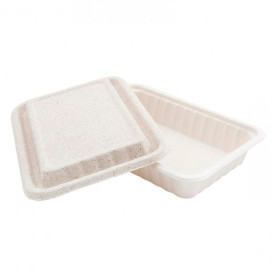 Suikerriet Container met Deksel wit 22,5x15x4cm (50 stuks)