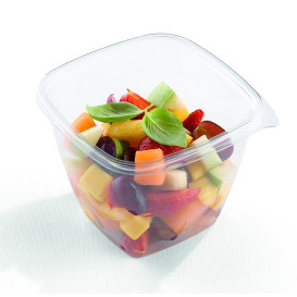 Plastic deli Container PET onverbrekelijk 750ml 12x12x9cm (50 stuks) 