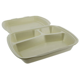 Schuim lunch doos 3 Compartmenten Champagne 2,40x2,10x0,70cm (250 stuks)