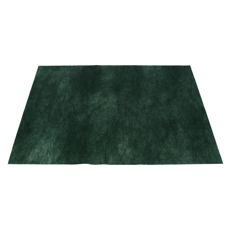 Novotex placemat groen 55g 30x40cm (500 stuks) 