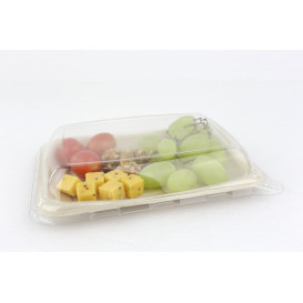 Suikerriet brood Container 20x14cm (300 stuks)