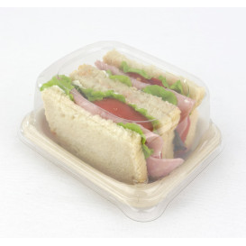 Suikerriet brood Container 14x11cm (300 stuks)