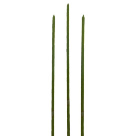 Bamboe vleespennen Naturel groen 15cm (200 stuks) 