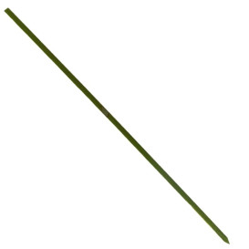 Bamboe vleespennen Naturel groen 15cm (200 stuks) 