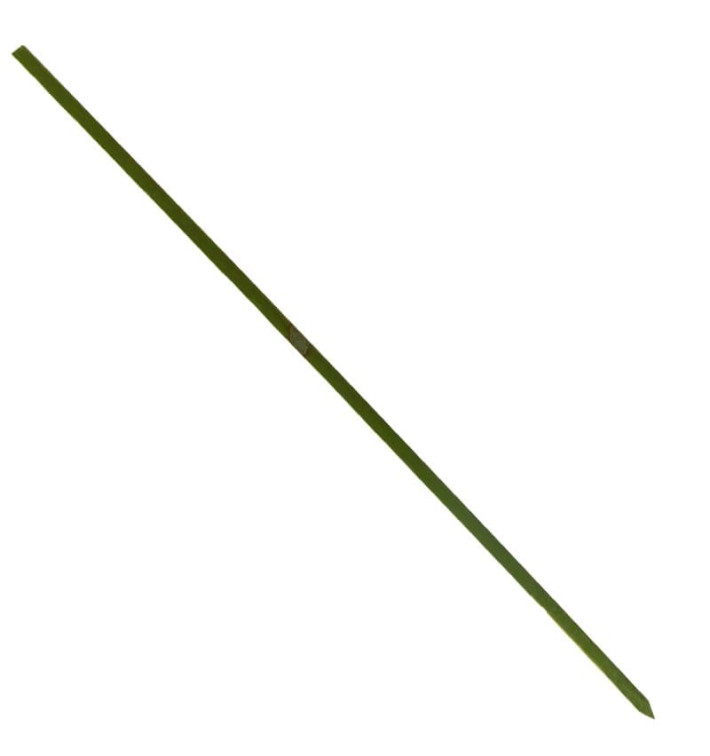 Bamboe vleespennen Naturel groen 15cm (200 stuks) 