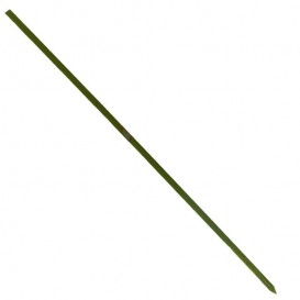 Bamboe vleespennen Naturel groen 25cm (200 stuks) 