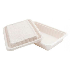 Suikerriet Container met Deksel wit 22,5x15x4cm (50 stuks)