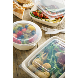 Plastic Deksel PP voor Container 23x16,5cm (150 stuks)