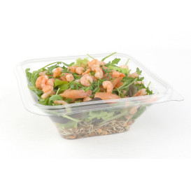 Plastic Kom PET "Impression" 750ml 17x17x6cm (50 stuks) 