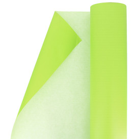 Papieren rol van inpakpapier groen 100m (1 stuk)