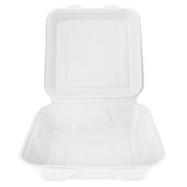 Suikerriet Gescharnierd Container "Menu Box" 23,5x23,5x7,8cm (50 stuks) 
