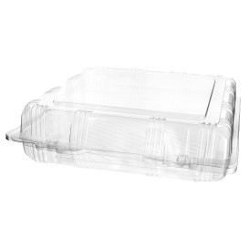 Plastic scharnierende bakkerij Container PET 22x22x6cm (220 stuks)