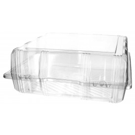 Plastic scharnierende bakkerij Container PET 25x25x10cm (220 stuks)