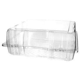 Plastic scharnierende bakkerij Container PET 25x25x10cm (220 stuks)