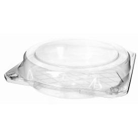 Plastic scharnierende bakkerij Container PET Ø20x5cm (115 stuks)