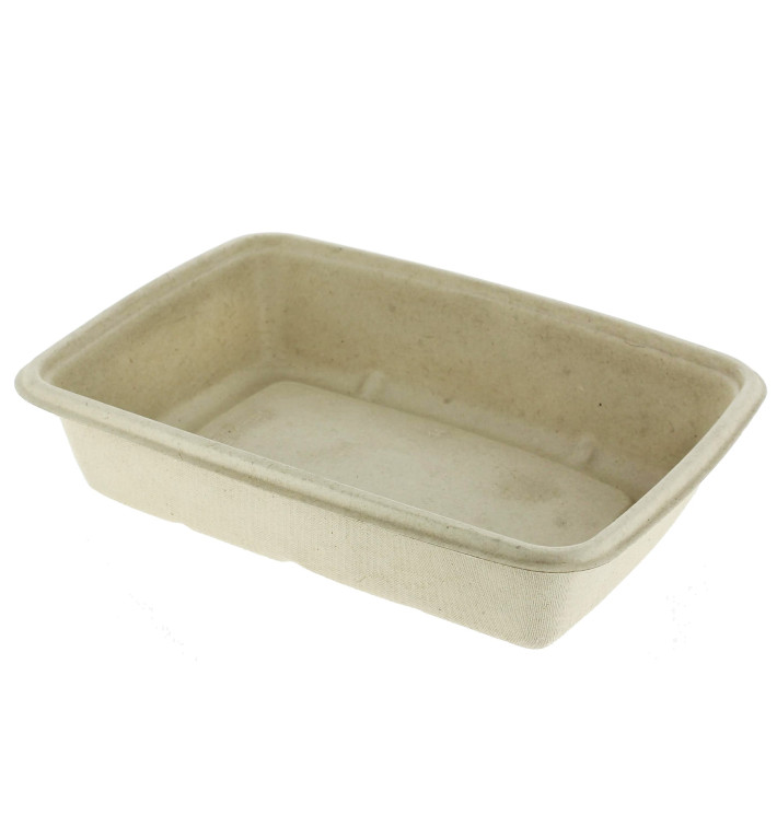 Suikerriet Container PLA gelamineerd 825ml 21x16x5cm (75 stuks) Suikerriet Container PLA gelamineerd 825ml 21x16x5cm (75 stuks)