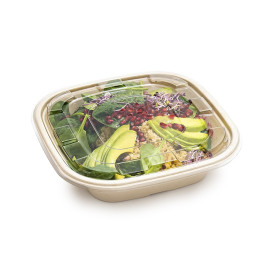 Suikerriet kom Naturel Vierkant 2250ml 27cm (50 stuks)