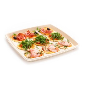 Suikerriet dienblad Vierkant Naturel 40x40cm (5 stuks) 
