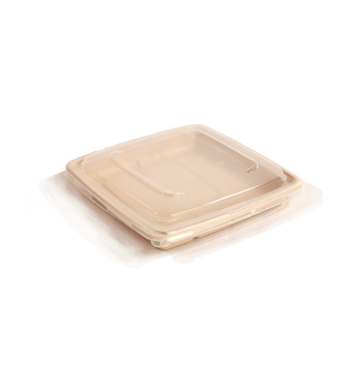 Plastic Deksel PP voor Container 23cm (150 stuks) Plastic Deksel PP voor Container 23cm (150 stuks)