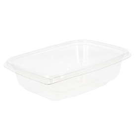 Plastic deli Container PET onverbrekelijk 600ml 18x14x4cm (65 stuks) 