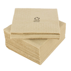 Papieren servet Eco-Vriendelijk 20x20cm 2C (100 stuks)