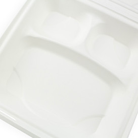 Suikerriet Gescharnierd Container wit 3C 23x15x7,5cm (200 stuks)