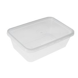 Plastic Container en Plastic Deksel Rechthoekige Vorm 500ml (300 Stuks)