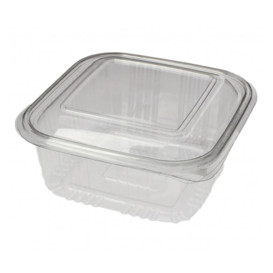 Plastic scharnierende Deli-Container PET Vierkant 500ml (100 stuks) 