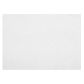 Novotex placemat wit 55g 30x40cm (500 stuks) 