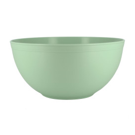 Herbruikbare duurzame PP Mineral Groen 3,35l schaal Ø23,5cm (20 Stuks)