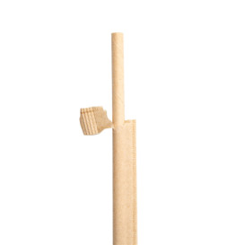 Papieren rechte rietjes Nature verpakt met kraft omhulsel Ø0,6cm 21cm (250 stuks)