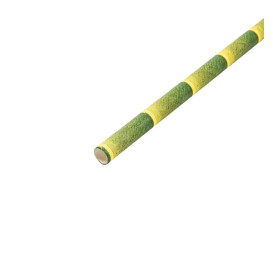 Papieren rechte rietjes bamboe Ø6mm 21cm (250 stuks) 
