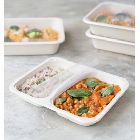 Suikerriet Container PLA 2C gelamineerd 820ml 22,7x17,8x3,2cm  (75 Stuks)