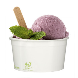 Papieren ijs Container Eco-Vriendelijk 100ml (65 stuks) 