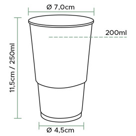 Plastic PP beker transparant 250ml (100 stuks)