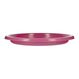 Herbruikbare Bord Economische PS Fuchsia Ø22cm (25 stuks) 