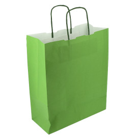 Papieren zak met handgrepen Groen 100g/m² 25+11x31cm (25 stuks) 