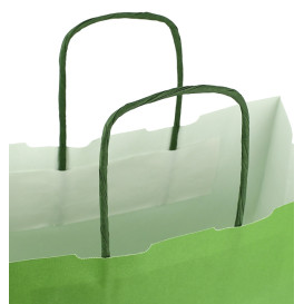 Papieren zak met handgrepen Groen 100g/m² 25+11x31cm (25 stuks) 