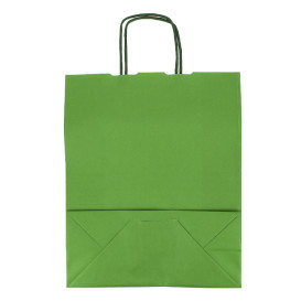 Papieren zak met handgrepen Groen 100g/m² 25+11x31cm (25 stuks) 