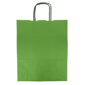 Papieren zak met handgrepen Groen 100g/m² 25+11x31cm (25 stuks) 