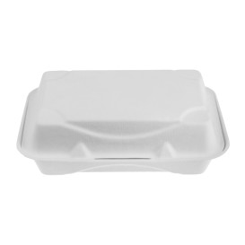 Suikerriet Gescharnierd Container wit 23x15x7,5cm (250 stuks)