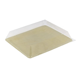 Plastic PET Deksel 27x20cm (10 stuks)