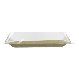 Plastic PET Deksel 27x20cm (10 stuks)